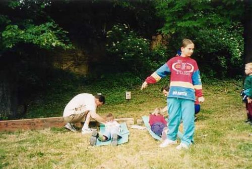 Soubor /dend03.jpg